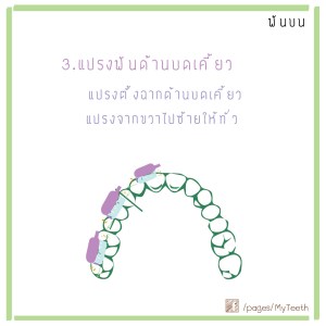 แปรงฟัน13-01