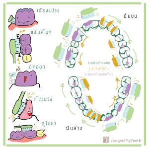 แปรงฟัน15-01
