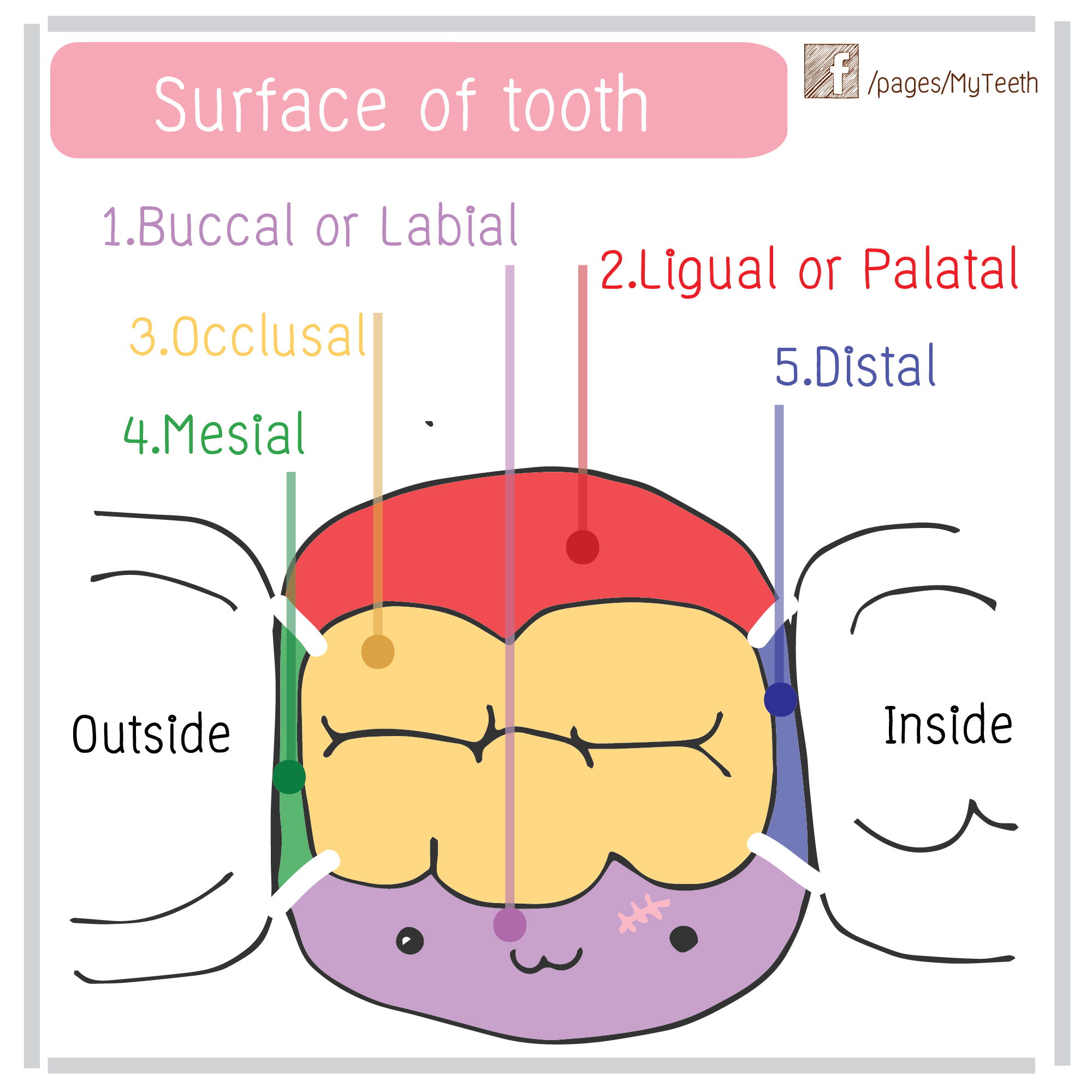 %e0%b8%94%e0%b9%89%e0%b8%b2%e0%b8%99%e0%b8%ad%e0%b8%b8%e0%b8%94%e0%b8%9f%e0%b8%b1%e0%b8%99%e0%b8%9e%e0%b8%b4%e0%b9%80%e0%b8%a8%e0%b8%a9-01
